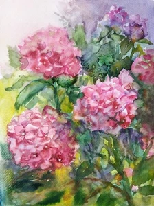 Hortensien Aquarell Gemälde Original Blumenkunst Rosa Blumen Botanische Kunst - Bild 1 von 8