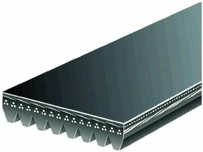 Puertas de ventilador de correa multi costilla International F2574 1984-1989 63124SK 1985 1986 Foto 1 de 2