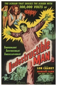 INDESTRUCTIBLE MAN #1 - 11"X17 OR 12"X18" BUY ANY 2 GET ANY 1 FREE! - Bild 1 von 3