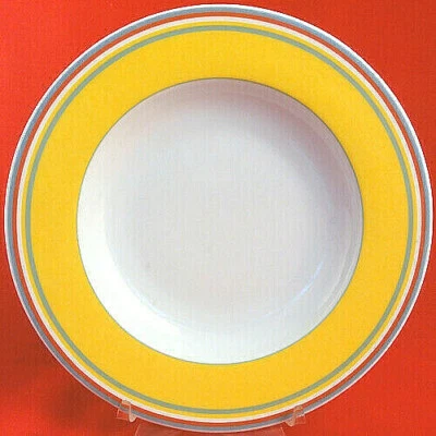 VILLEROY & BOCH SWITCH 1 BEALA Rim Soup Bowl 9" NEW NEVER USED made in Germany - Image 1 of 2