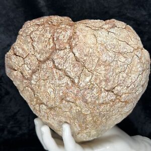 8” Red Unopened Geode Crystal Chalcedony Lapidary Mass Quartz Uncut Rough 11Lb