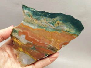 Hampton Butte Jasper Rough Rock Petrified Wood #O10 - Picture 1 of 8