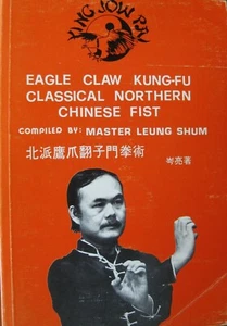 RARE 1981 EAGLE CLAW KUNG FU NORTHERN CHINESE FIST LEUNG SHUM KARATE MARTIAL ART - Bild 1 von 1