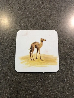 Tarjeta de repuesto de memoria Milton Bradley Animal Families 1980 de colección bebé camello Foto 1 de 2