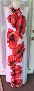NEW Emma & Michelle Sz L  Long Maxi Dress Fully Lined With Roses Print W/belt - Picture 1 of 12