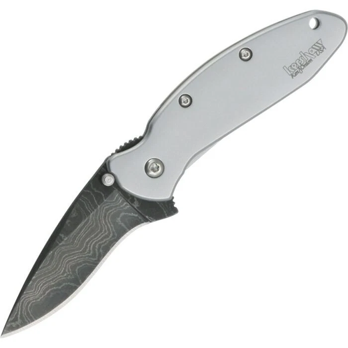 Nueva presa Kershaw Scallion Framelock A/O 1620DAM Foto 1 de 1