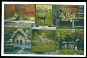 6 VISTAS - POSTAL RIVERDALE PARK, TORONTO, ONT - Imagen 1 de 1