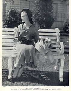 SCHNAUZER FILMSTAR UND BENANNTER CHAMPIONHUND ALTER ORIGINAL HUNDEDRUCK VON 1934 - Bild 1 von 1
