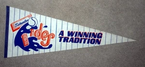 Tidewater Tides ~ Vintage ~ defunct 1990's METS ~ Minor League Team - Bild 1 von 1