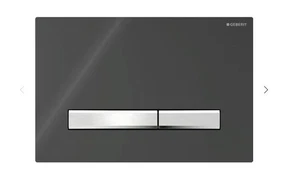 Placa de descarga doble Geberit Sigma 50 negro brillante 115.788.DW.5 - Imagen 1 de 1