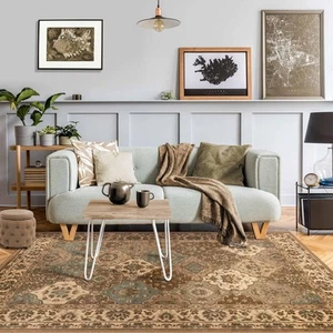 Indoor Area Rug, Jute Backing, Oriental Plush Rugs for Entryway, Living Room,... - Picture 1 of 6