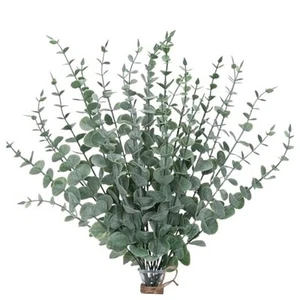 CEWOR 24pcs Eucalyptus Stems Artificial Eucalyptus Leaves Fake Greenery  - Picture 1 of 7