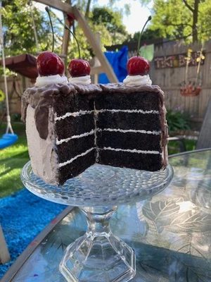 Pastel de Chocolate FALSO Hecho a Mano con Esmerilado de Vainilla y Decoración de Rocia de Chocolate Foto 1 de 4