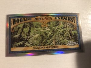 2021 Topps Allen & Ginter Chrome Mini World's Largest Amazon Rainforest