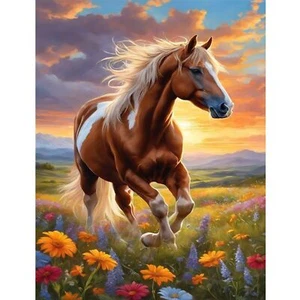 Perycomly Cavallo Dipinto con Numeri Kit 16x20 Pollici - Foto 1 di 7