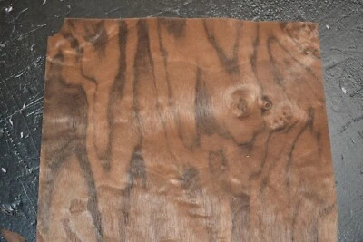 Walnut Burl Raw Wood Veneer Sheet 6.5 x 12 inches 1/42nd thick           2307-16 - Image 1 of 4