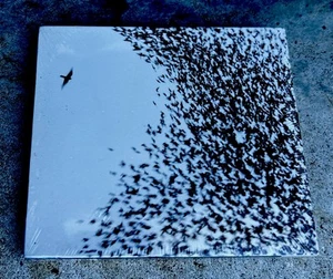 Sky Blue Sky by Wilco (CD, 2007) SEALED - Picture 1 of 2