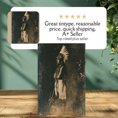 Индейский тонип ограниченный выпуск музейная серия C0021RP - Изображение 1 из 3