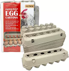 Paper Pulp Egg Cartons - 12 Pack Grey - Picture 1 of 5