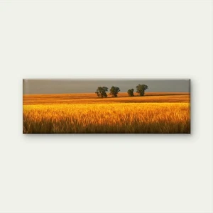 Panoramic View of Golden Wheat Field Landscape Canvas Print Wall Art Home Decor - Picture 1 of 7