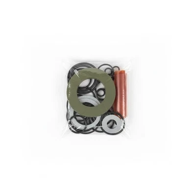 Kit de vedação 50044400 para motor hidráulico White 500 Series - Imagem 1 de 4