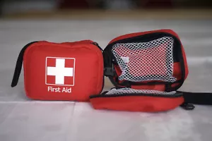 EMPTY FIRST AID KIT BAG WITH COMPARTMENTS - SMALL - RED - WITH WRIST STRAP - Picture 1 of 2