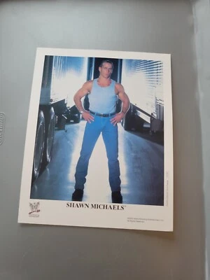 Foto promocional Shawn Michaels 2002 P-797 8x10 original WWE WWF original auténtica  Foto 1 de 4