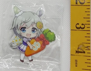 Uma Musume Acrylic Stand Seiun Sky Anime Japan - Imagen 1 de 1