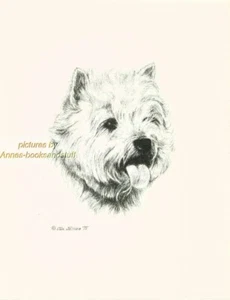 #104 WESTIE West Highland Terrier stampa artistica cane penna e disegno a inchiostro di Jan Jellins - Foto 1 di 1