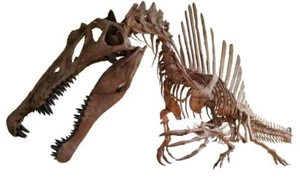 SPINOSAURUS AEGYPTIACUS DINO GLOSSY POSTER PICTURE BANNER PRINT PHOTO 7813 - Picture 1 of 1