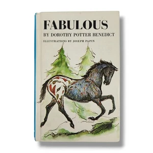 Fabelhaftes Hardcover Buch von Dorothy Potter Benedict illustriert Joseph Papin 1961 - Bild 1 von 8