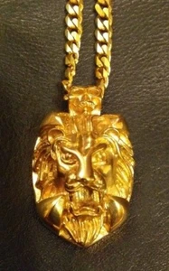 STAINLESS STEEL LION SKULL PENDENT & CHAIN - Picture 1 of 7