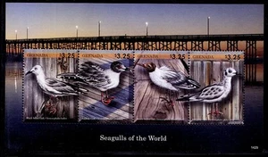 Grenada 2014 MNH SS, Seagulls, Water Birds - Picture 1 of 1