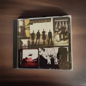 vtg 1994 Hootie & The Blowfish CD Cracked Rear View Mirror - Foto 1 di 3