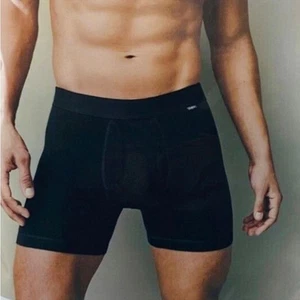 494. Goodfellow & Co Classic Boxer 5 pack Briefs Mens Large NEW - Picture 1 of 3