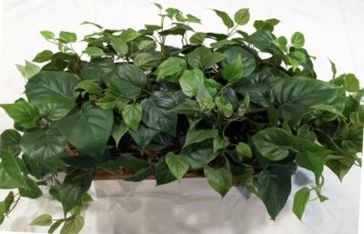 Interior 19 pulgadas. planta de seda repisa ficus verde artificial en cesta Foto 1 de 3