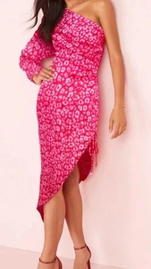 Pink Animal Print One Shoulder Ruched Detail Midi Dress Size 10 BNWT - Picture 1 of 8