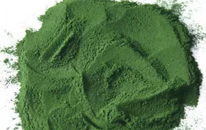 Spirulina pura in polvere, mangime per pesci introvabile in Italia!! Offerta 50g - Bild 1 von 1