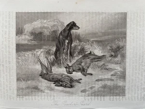 Antiker Druck von 1842; Die Wilderergarde nach David Cunliffe - Bild 1 von 2