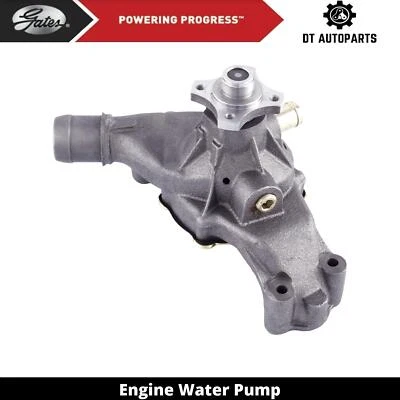 Chasis personalizado Workhorse 2007-2009 W24 8,1 L motor V8 puertas bomba de agua Foto 1 de 4