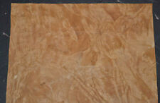 Chestnut Burl Raw Wood Veneer Sheet 10 x 16 inches 1/42nd thick J7681-46