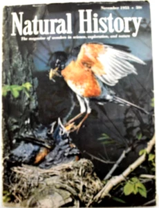 Natural History Magazine November 1953 - Picture 1 of 7