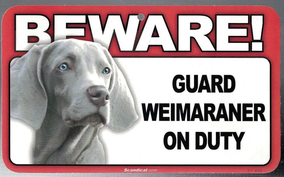 BEWARE GUARD WEIMARANER DOG ON DUTY 5" X 8" HANGABLE PLASTIC SIGN NEW - Image 1 of 1