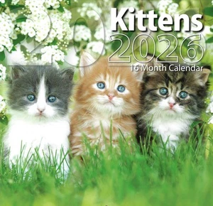 Calendario de pared 2026 gatitos 16 meses (septiembre 2025 - diciembre 2026) 12"x12" - Imagen 1 de 2