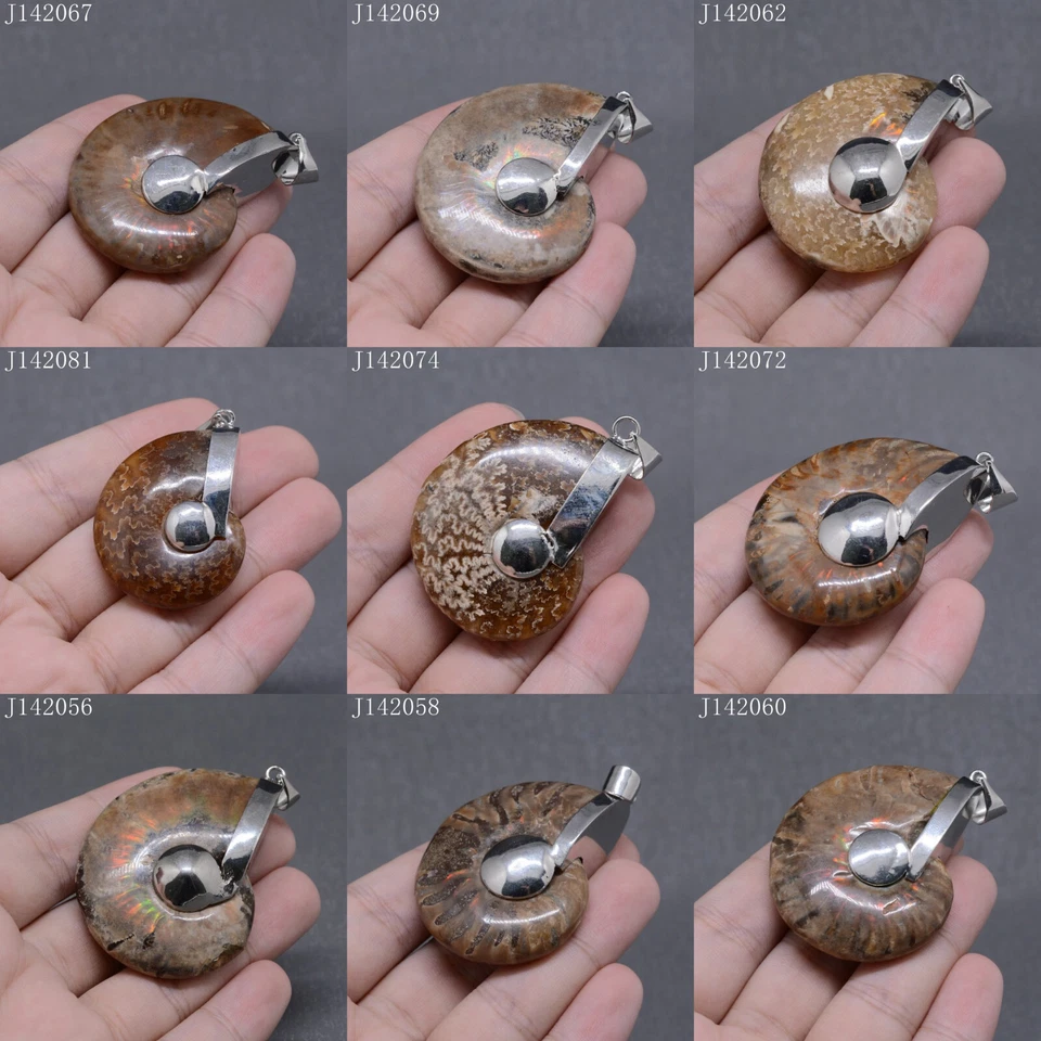 Cuentas colgantes fósiles de amonita de 40-63 mm "cada foto" Foto 1 de 1