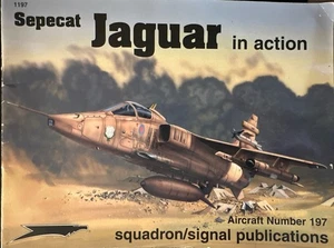Sepecat Jaguar in Action Squadron/Signal Aircraft No. 1197 Glenn Ashley - Picture 1 of 3