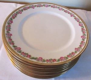 GUERIN LIMOGES 10 DINNER PLATES WRIGHT TYNDALE VAN RODEN ANTIQUE 1891-1900 - Picture 1 of 6
