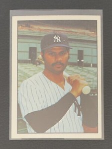 1975 SSPC CHRIS CHAMBLISS NEW YORK YANKEES #14