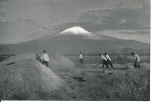 ANATOLIE c. 1940 - Moisson Mont Ararat Turquie - P25 - Picture 1 of 2