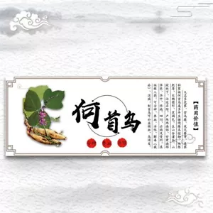 250g Organic Wild Powdered China He Shou Wu Fo-ti Prepared Polygonum Multiflorum - Picture 1 of 6